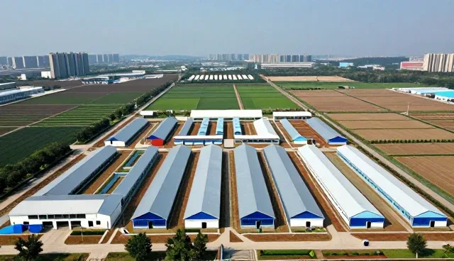 设备性能与适用条件下的技术支持关键点分析